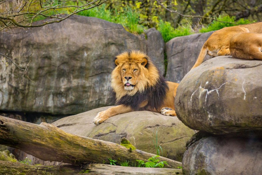 OREGON ZOO