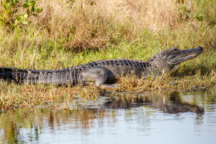 CANAVERAL NATIONAL SEASHORE