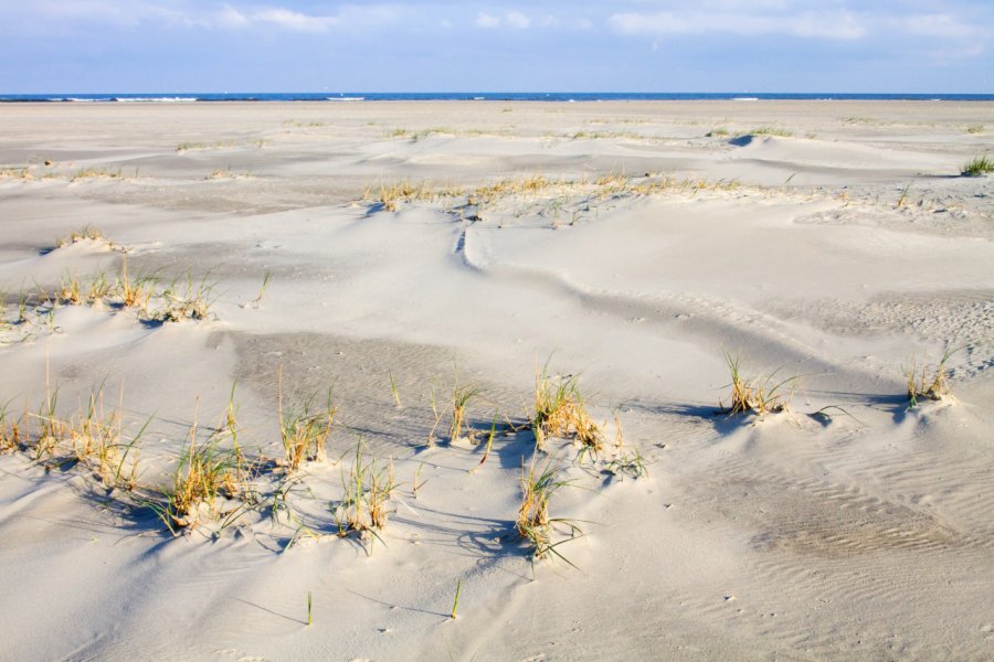 Large plage le long de la côte avec du sable blanc Agami Photo Agency - Shutterstock.com