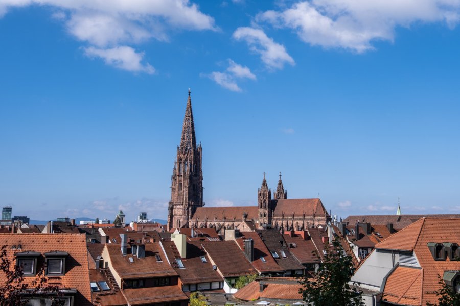 MÜNSTER (CATHÉDRALE)