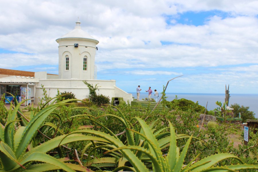 CERRO SAN ANTONIO (CERRO DEL INGLÉS)