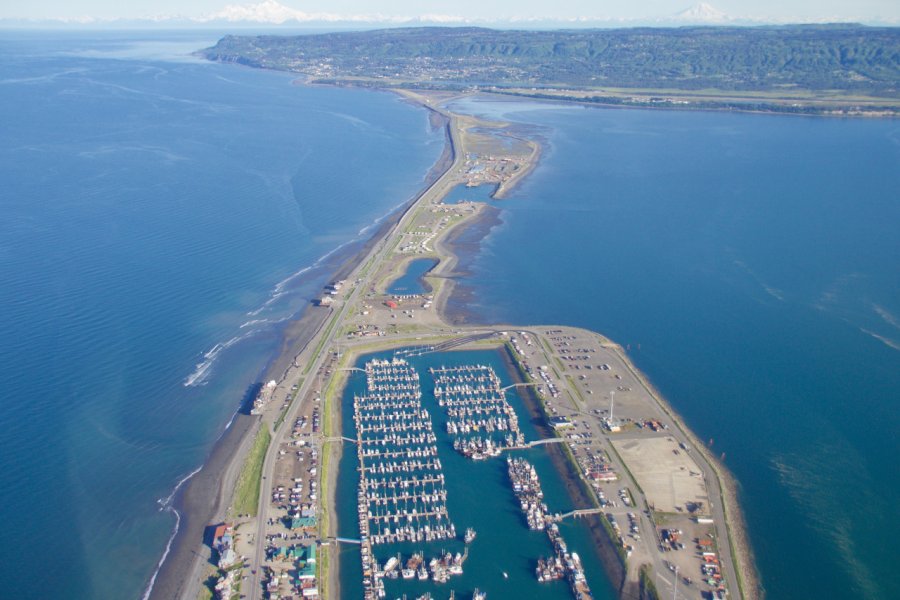 HOMER SPIT