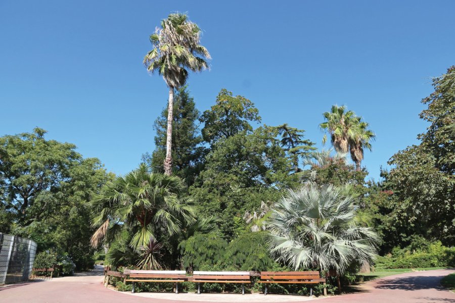PARC OLBIUS RIQUIER