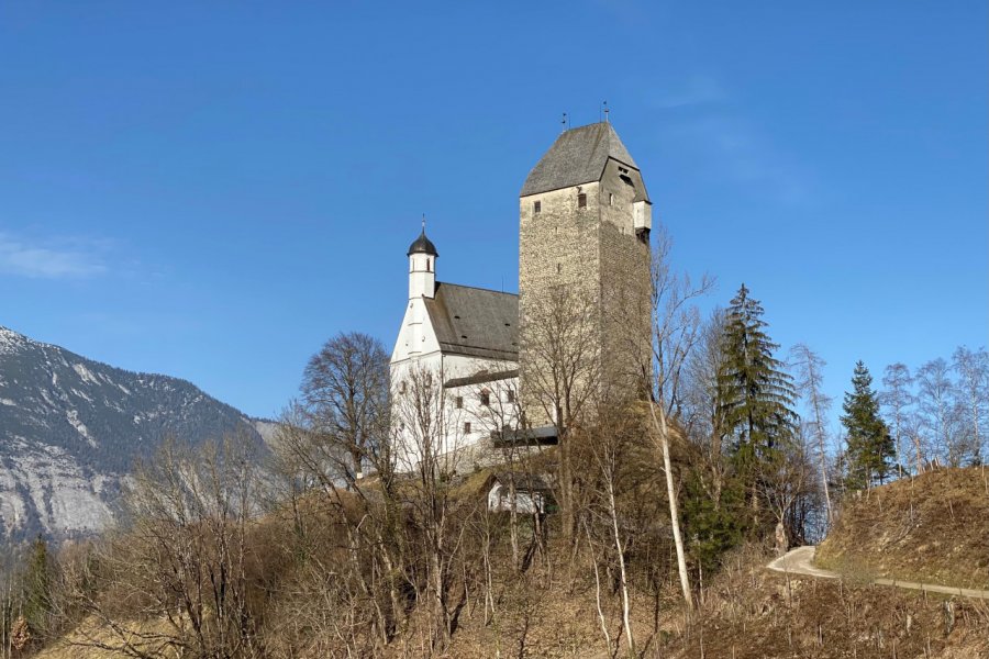 CHÂTEAU DE FREUNDSBERG (BURG FREUNDSBERG)
