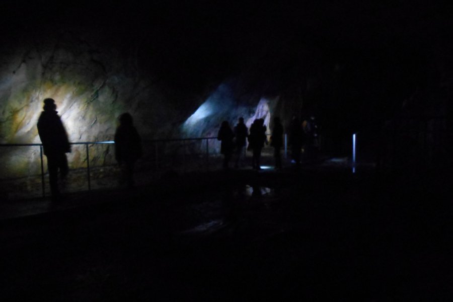 GROTTES PRÉHISTORIQUES DE GARGAS ET NESTPLORIA