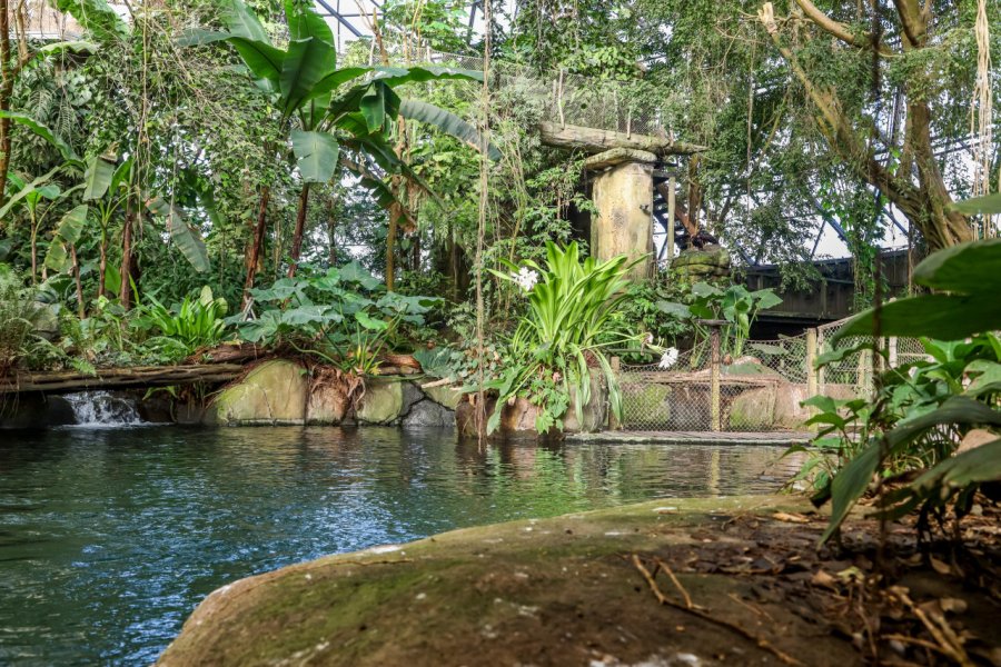 FORÊT TROPICALE DE RANDERS (RANDERS REGNSKOV)
