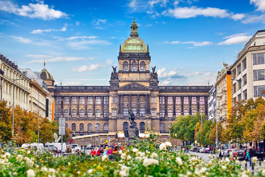 MUSÉE NATIONAL (NÁRODNÍ MUZEUM)