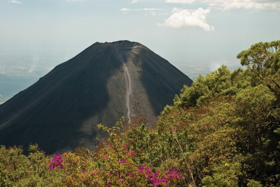 L'Izalco est un volcan de la cordillère d'Apaneca, au Salvador. Cindy MURRAY - iStockphoto