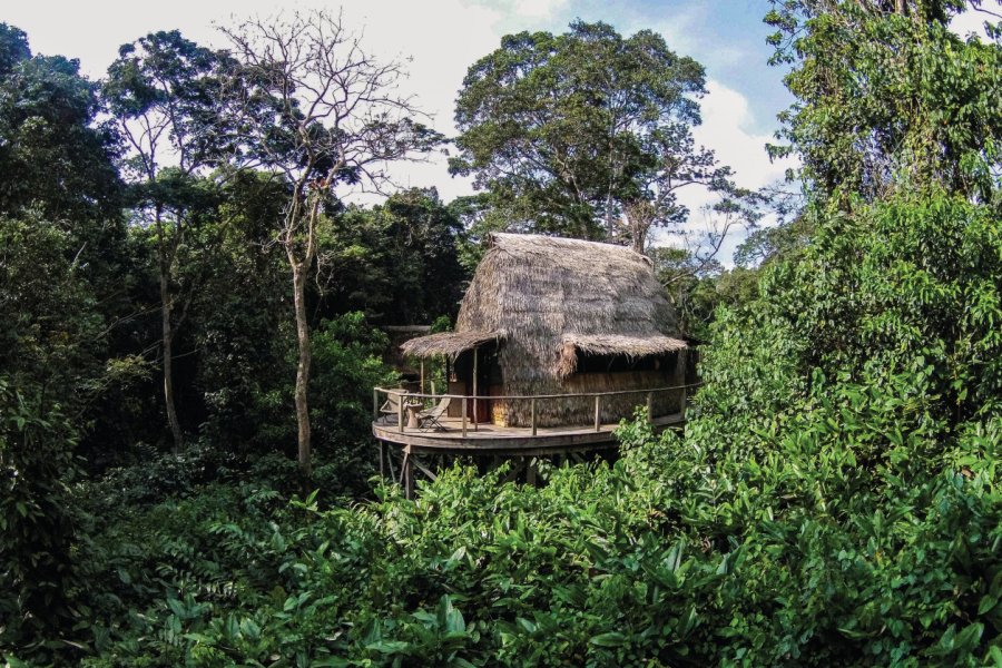 Camp Ngaga, parc national Odzala-Kokoua. Congo Conservation Company