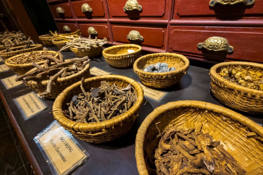 FITO MUSEUM (BAO TANG PHITÔ)