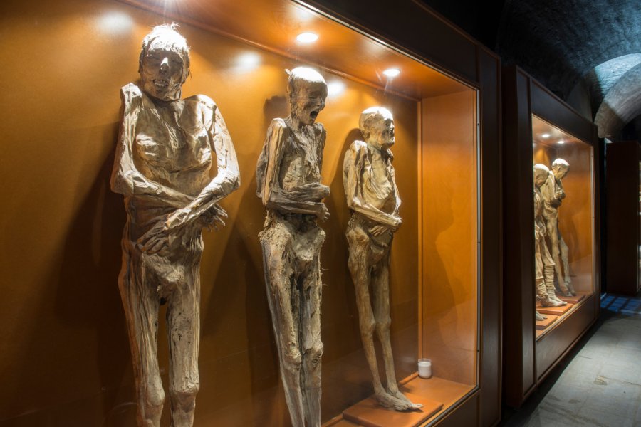 MUSEO DE LAS MOMIAS