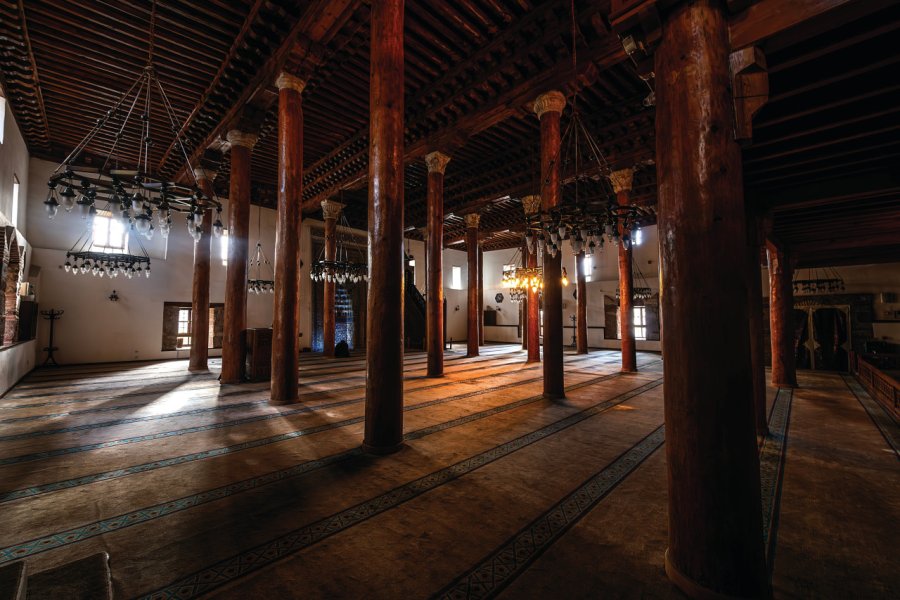 ASLANHANE CAMII