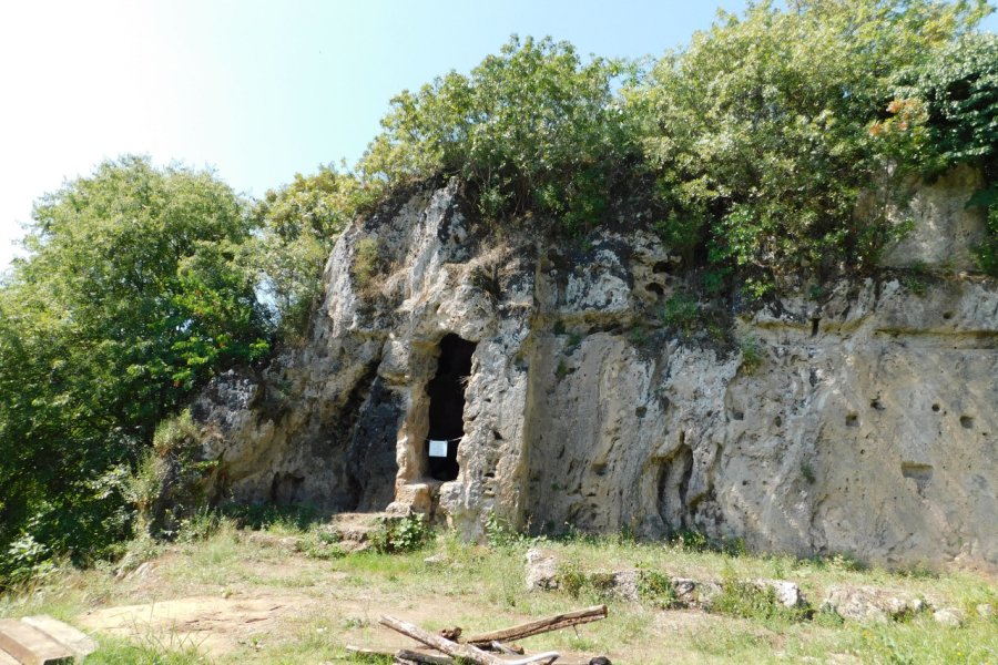 NYMPHÉE DE MIEZA