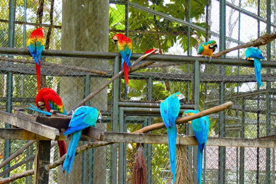 ZOOLÓGICO DO CIGS