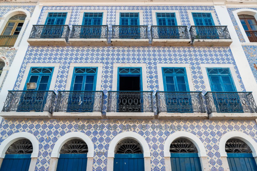 MUSEU DE ARTES VISUAIS