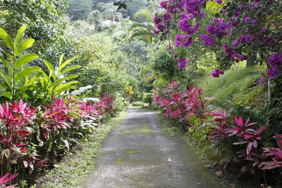 PLANTATION BEAUVALLON