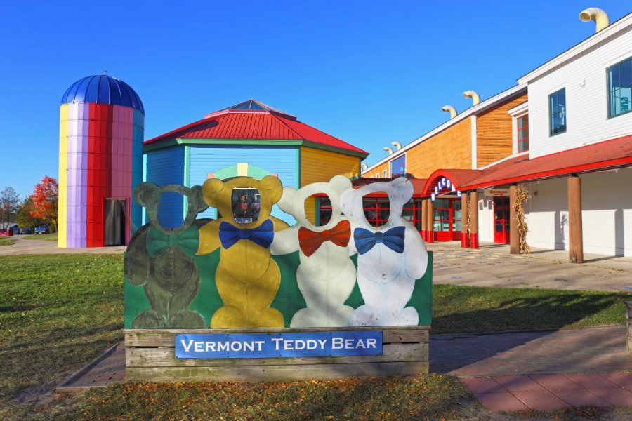 VERMONT TEDDY BEAR COMPANY