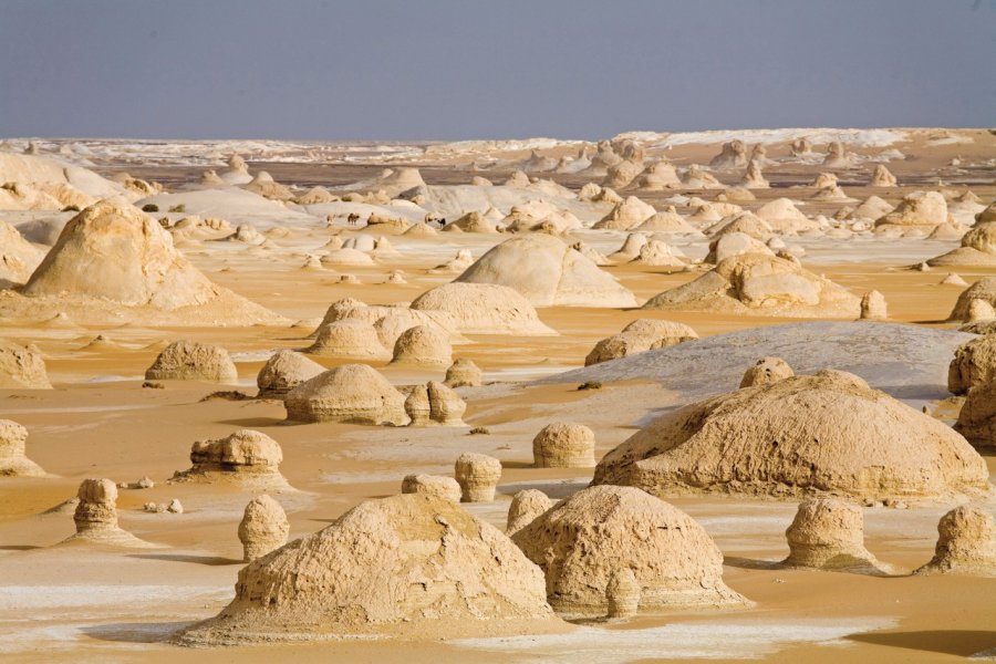 Le désert blanc. Sylvain GRANDADAM