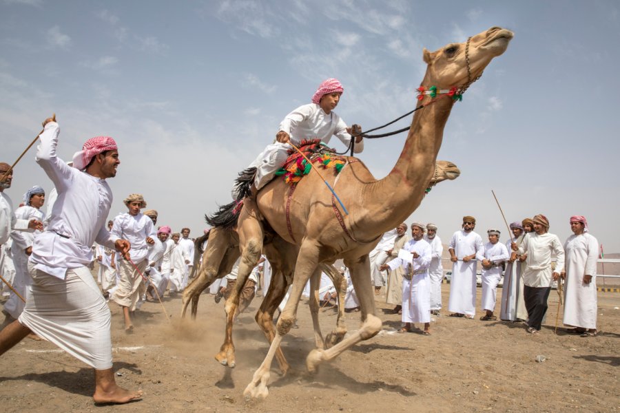 Course de chameaux, Ibri. Katiekk - Shutterstock.com