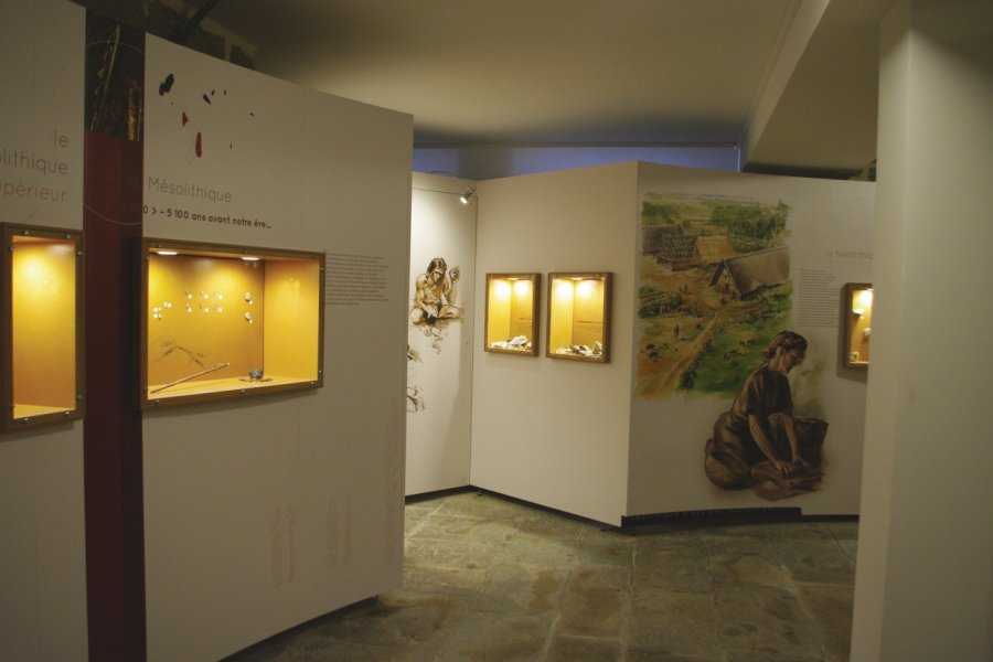 MUSÉE DE LA PRÉHISTOIRE