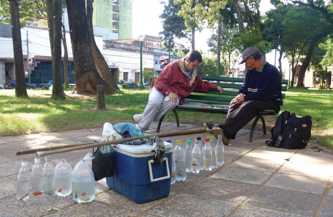 Pause et partie d'échecs pour le vendeur de poissons rouges sur la Plaza Uruguaya, Asuncinón.