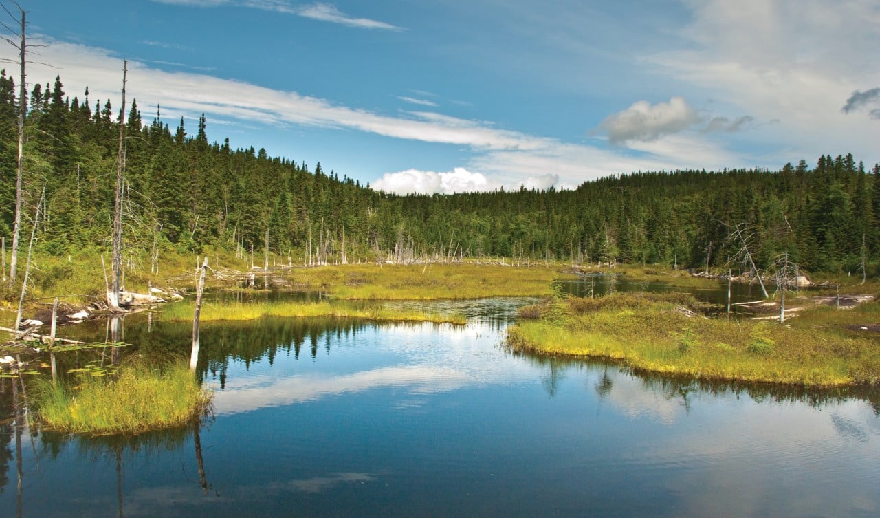 Lac au parc national du Fjord-du-Saguenay.