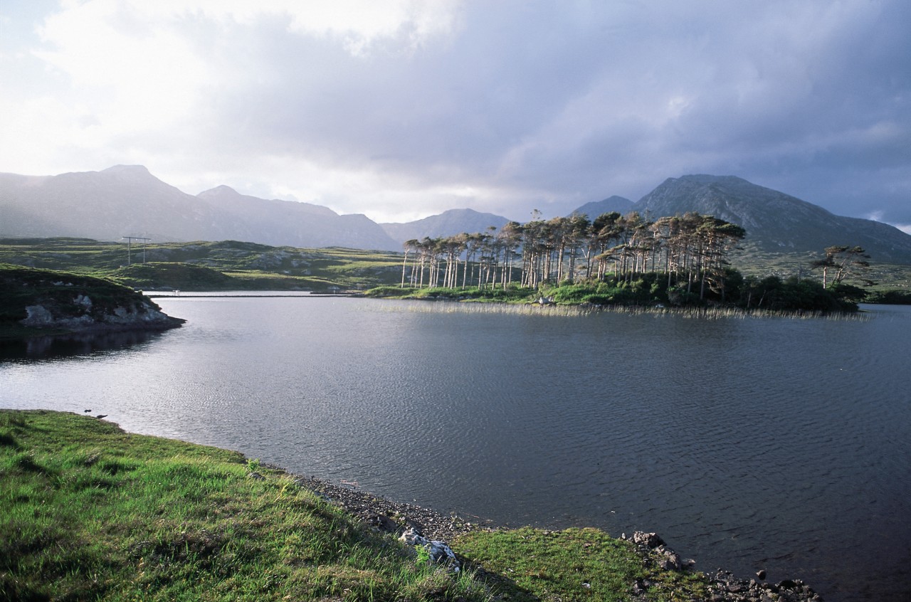 Paysage du Connemara