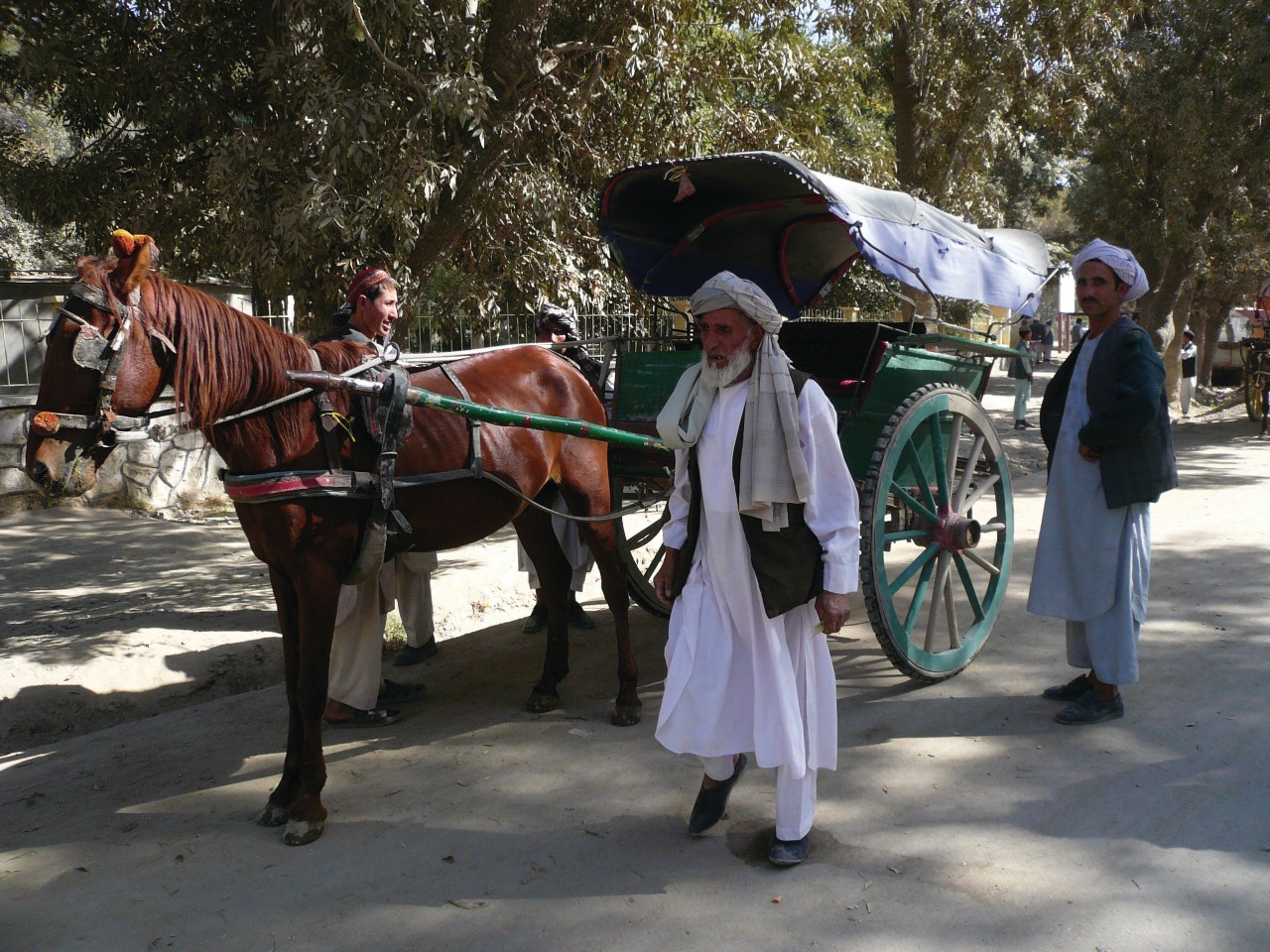 Carriole à cheval, le taxi de Balkh.