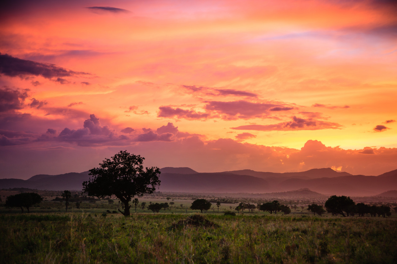 Kidepo Valley National Park.