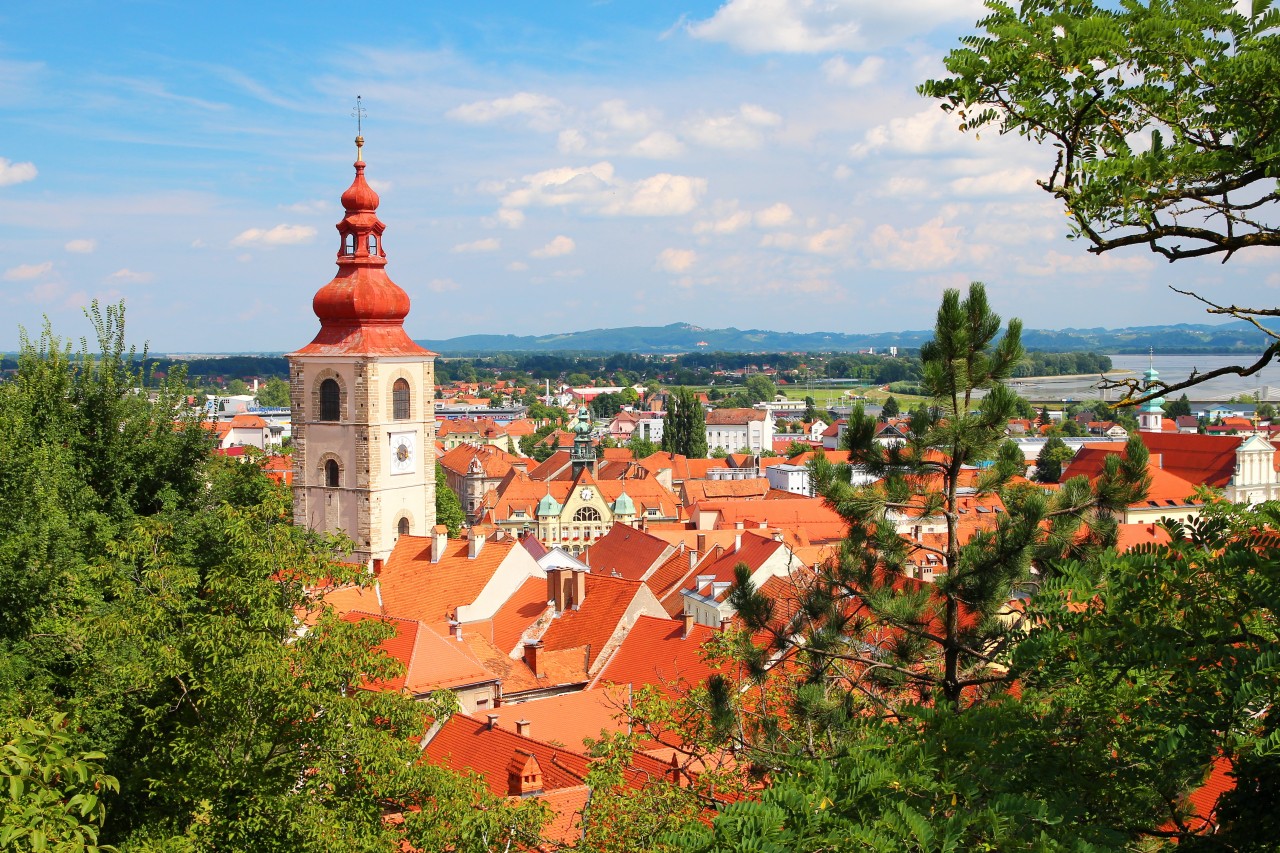 Vue panoramique de Ptuj.