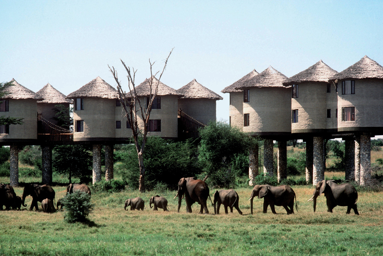 Salt Lick Lodge