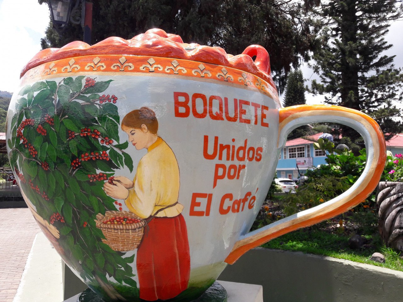 Le café est omniprésent à Boquete.