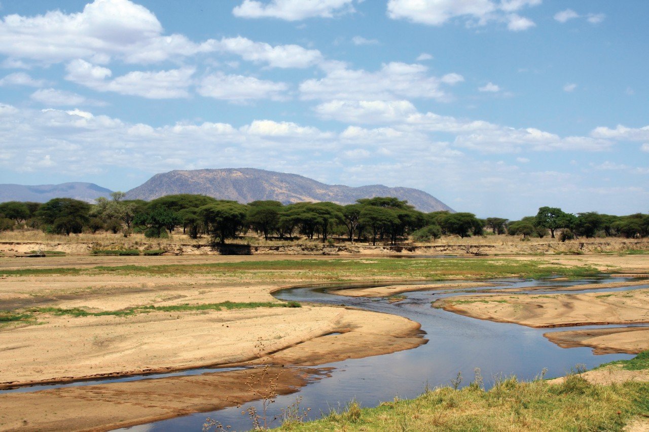 Ruaha National Park