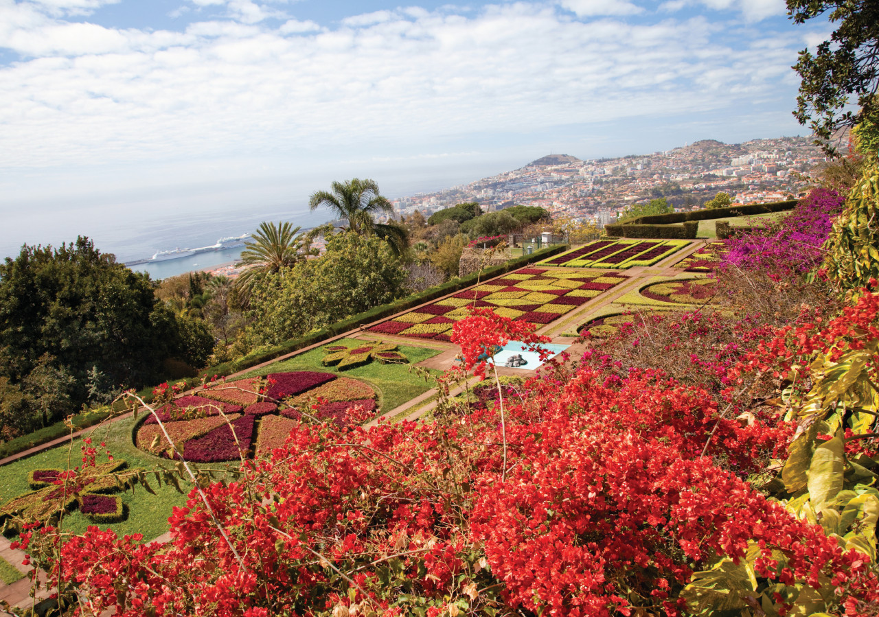 Jardin botanique de Funchal.