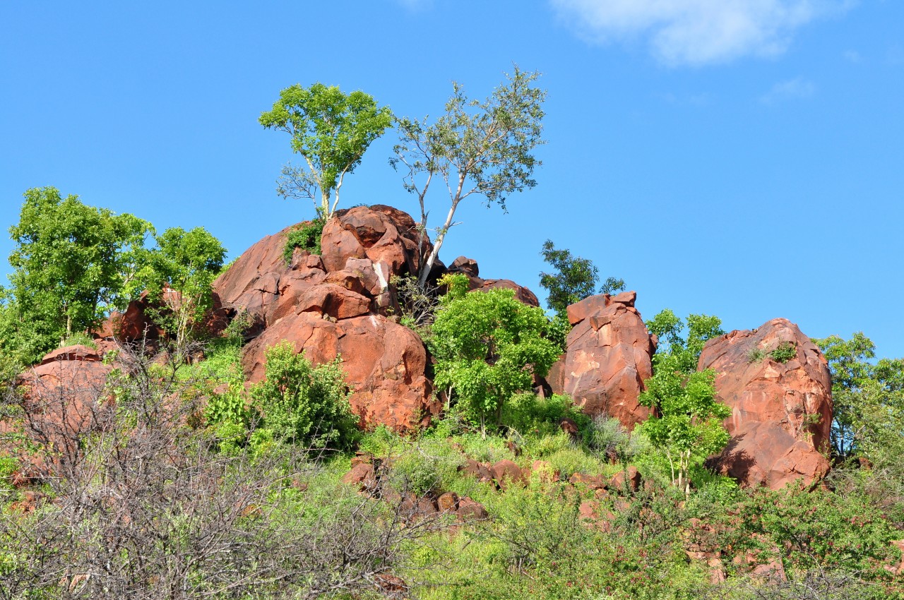 Waterberg plateau park.