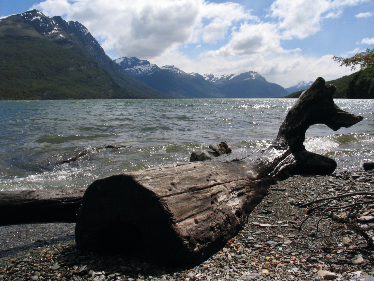 Paysage du parc national Lapataia.