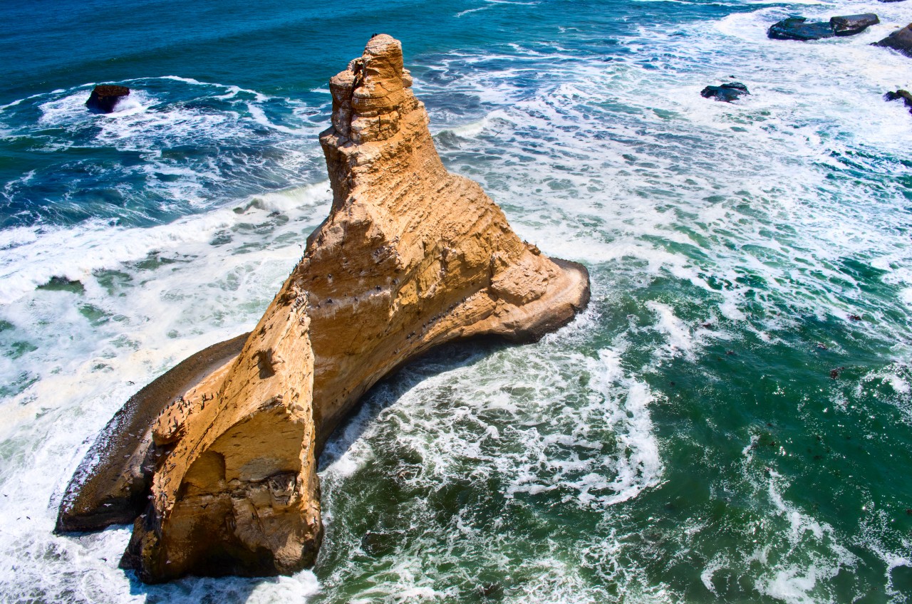 Réserve nationale de Paracas.