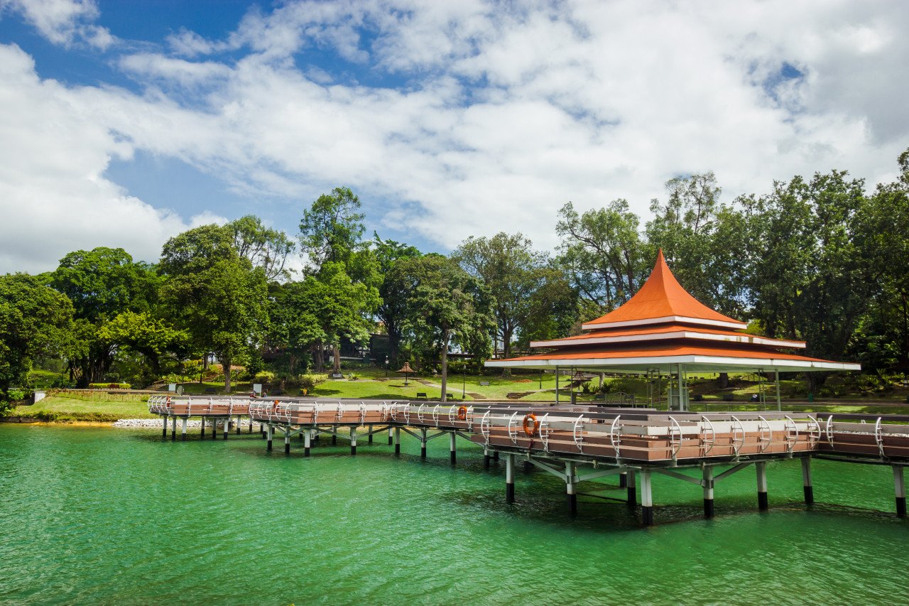 Macritchie Reservoir.