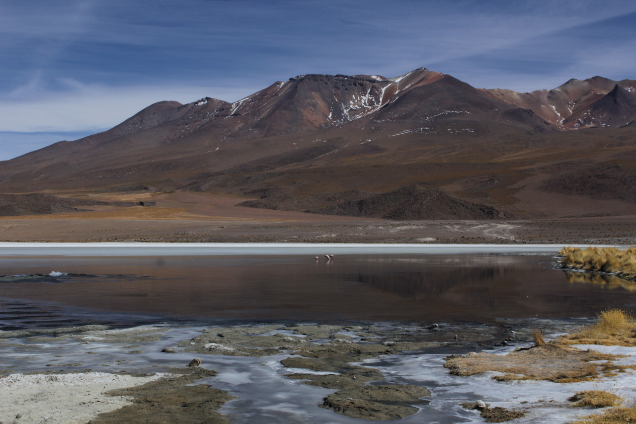 La Laguna Colorada entourée de volcans est réputé pour ses couleurs rouilles et ocres.