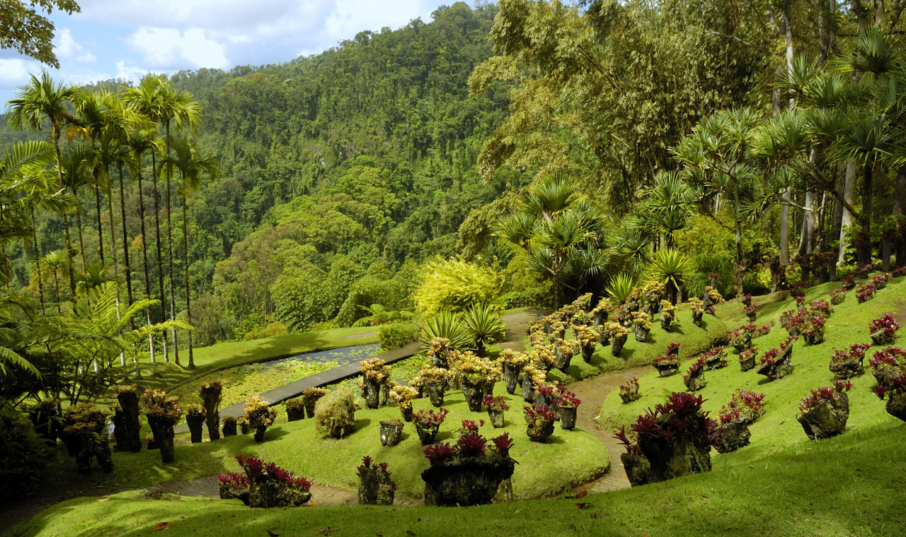 <p>Jardin de Balata.</p>