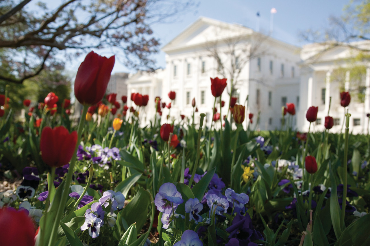 Le Virginia State Capitol au Printemps