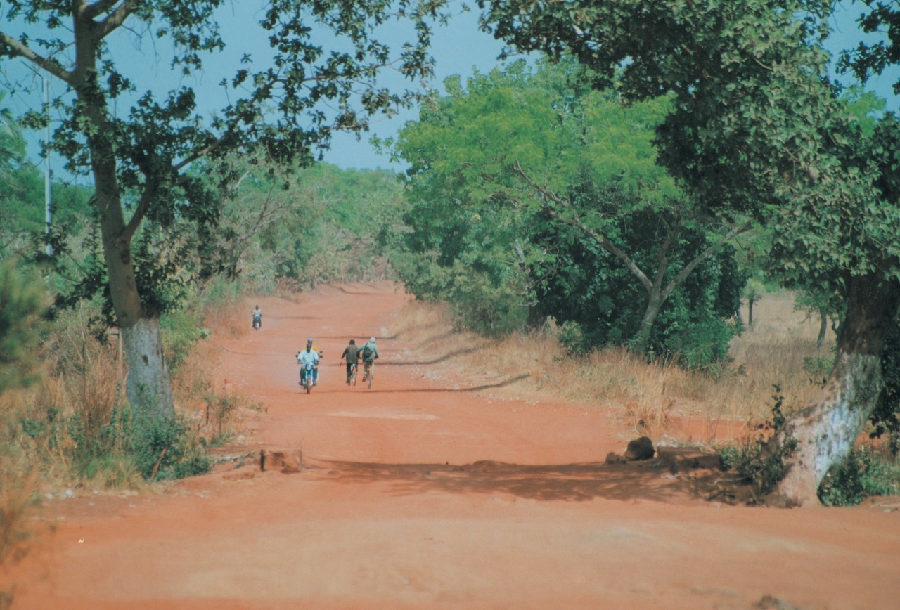 Environs de Banfora