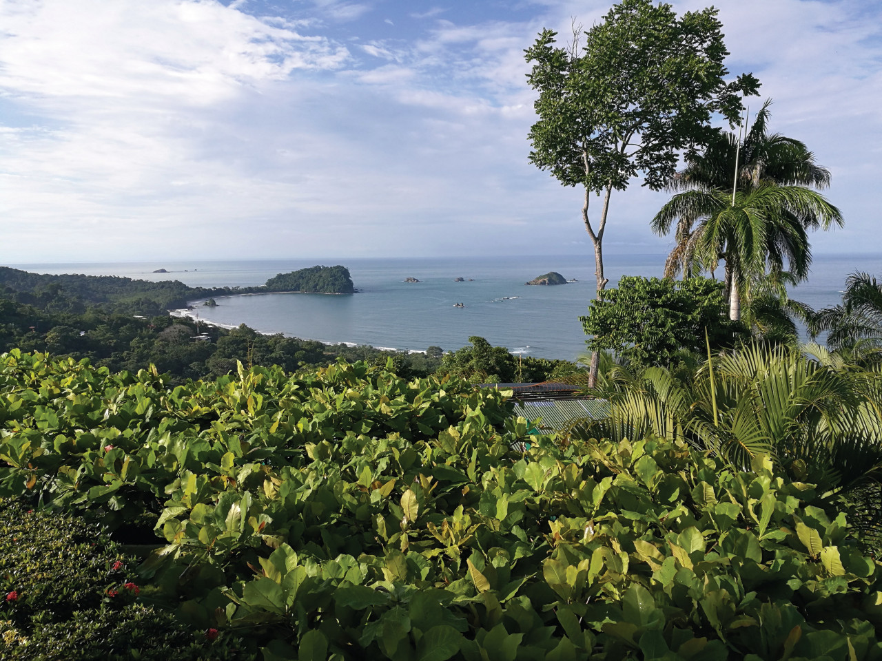 Manuel Antonio entre plage et montagne.