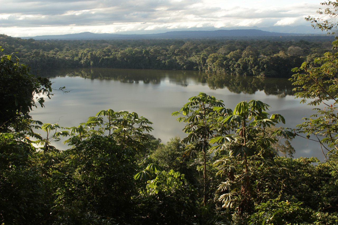 Le parc Madidi s'étend entre des forêts humides et des sommets de plus de 5000 m.