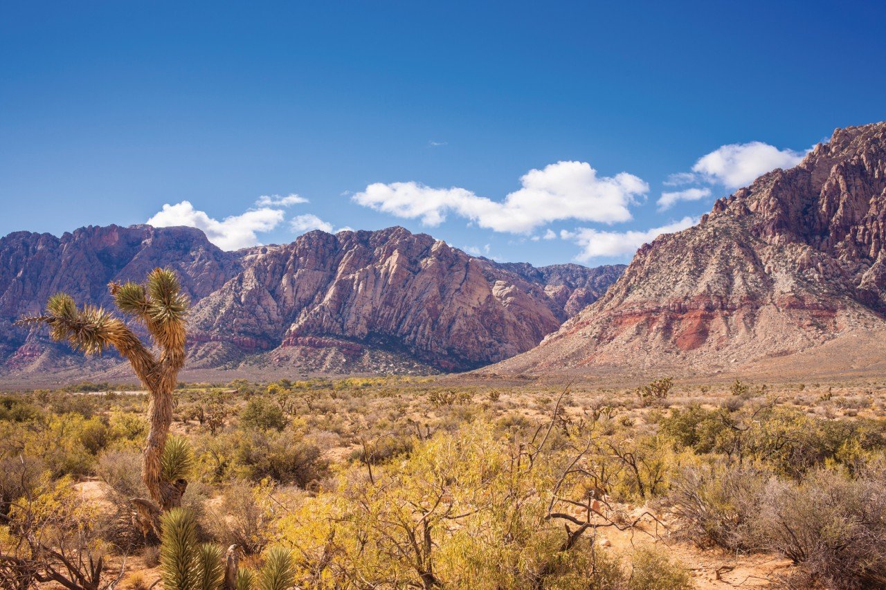 Red Rock Canyon.