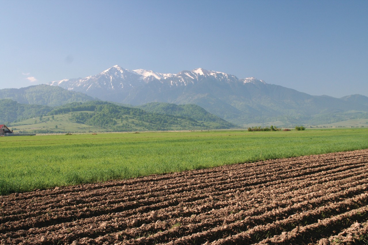 Paysage de la région de Braşov.