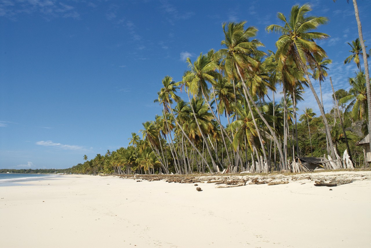 parfum plage