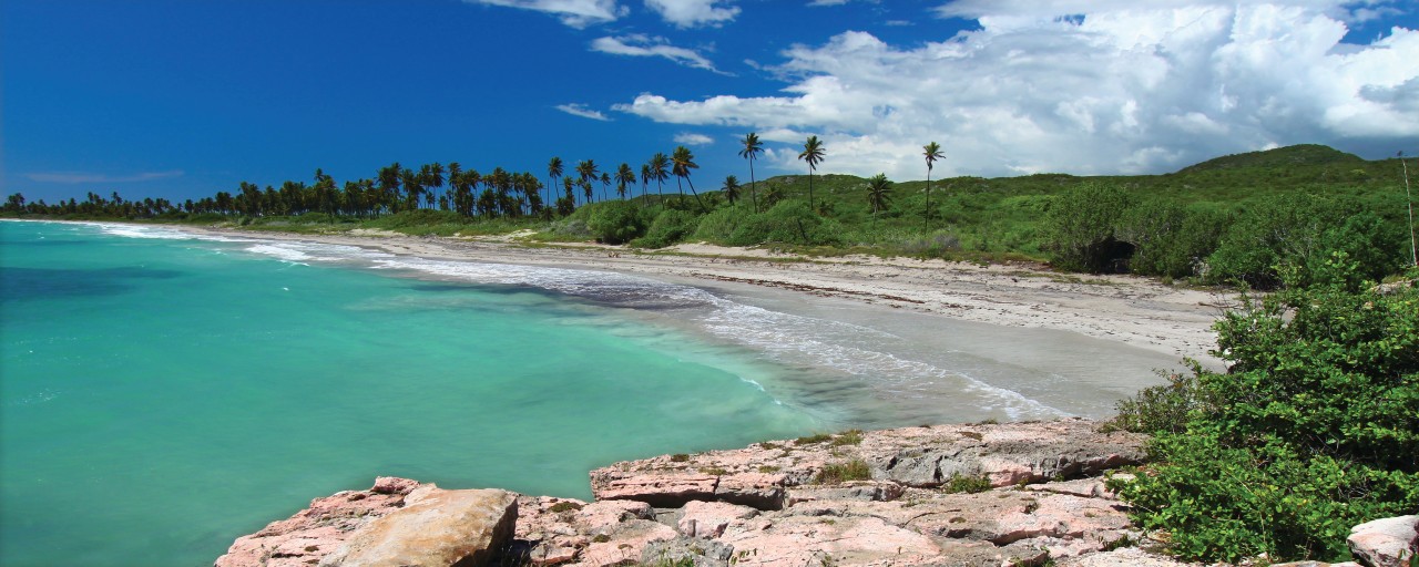 Panorama de Guanica.