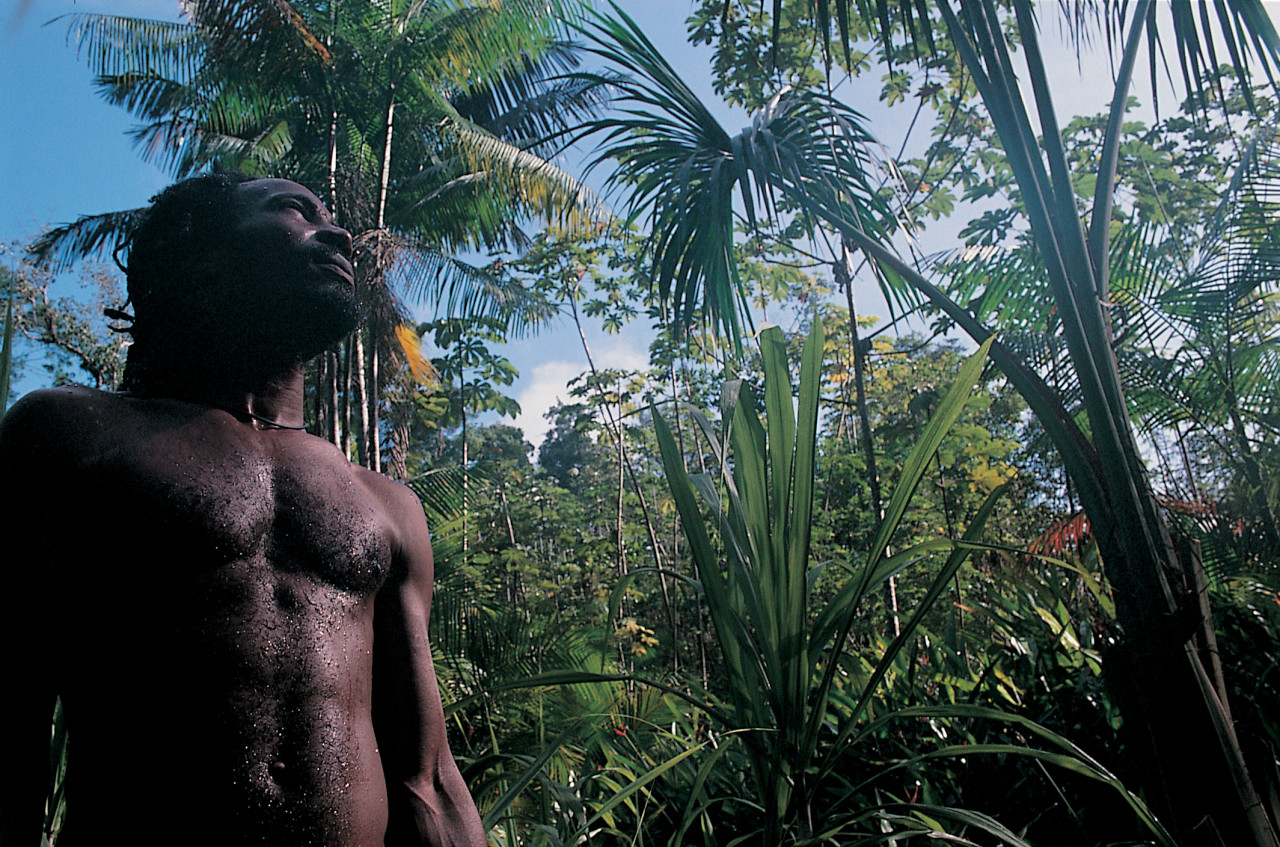 Dans la forêt amazonienne.