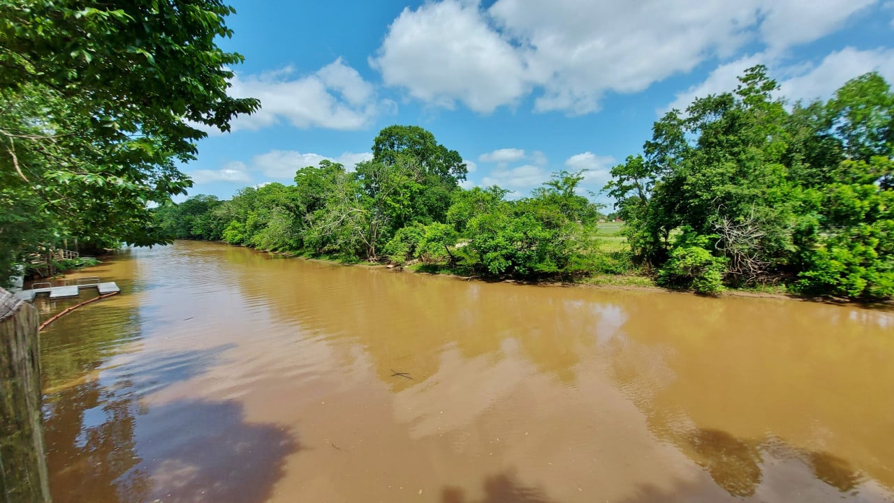 Bayou Vermilion à Lafayette.